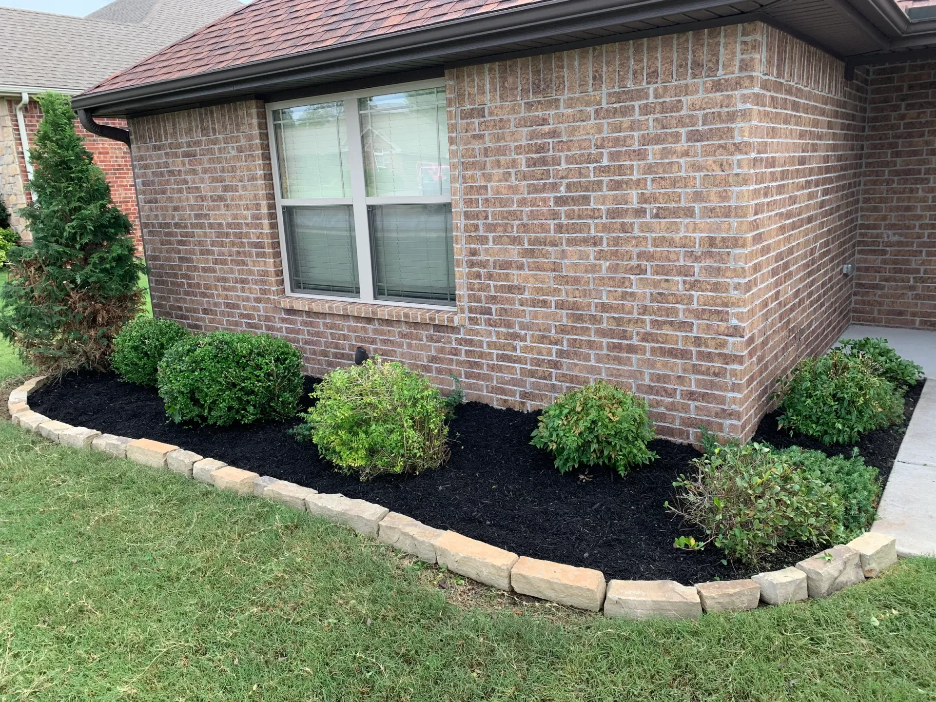 Front yard landscaping with brick house, window, shrubs, and black mulch.