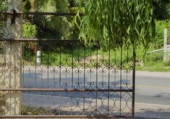 Automatic gate with tree behind it — Gate opener installation in Pasadena, TX
