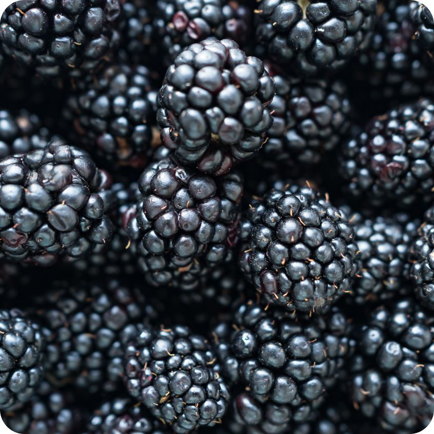 莓果季節香氛蠟燭