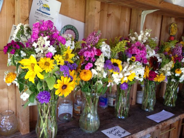 Omena Cut Flowers - U-Pick