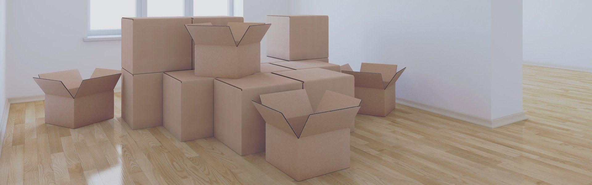 Expert packing services
