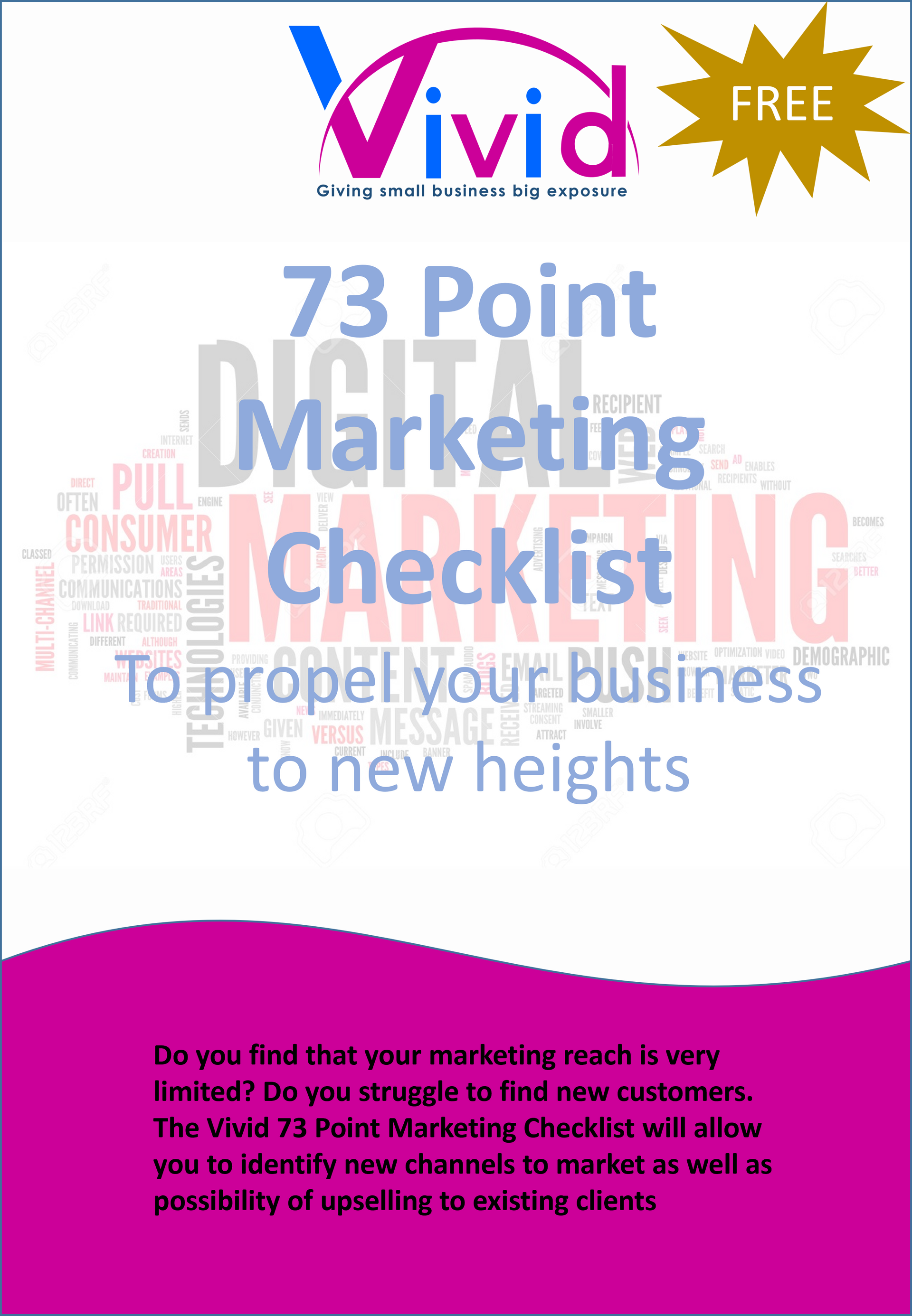 vivid 73 point marketing audit