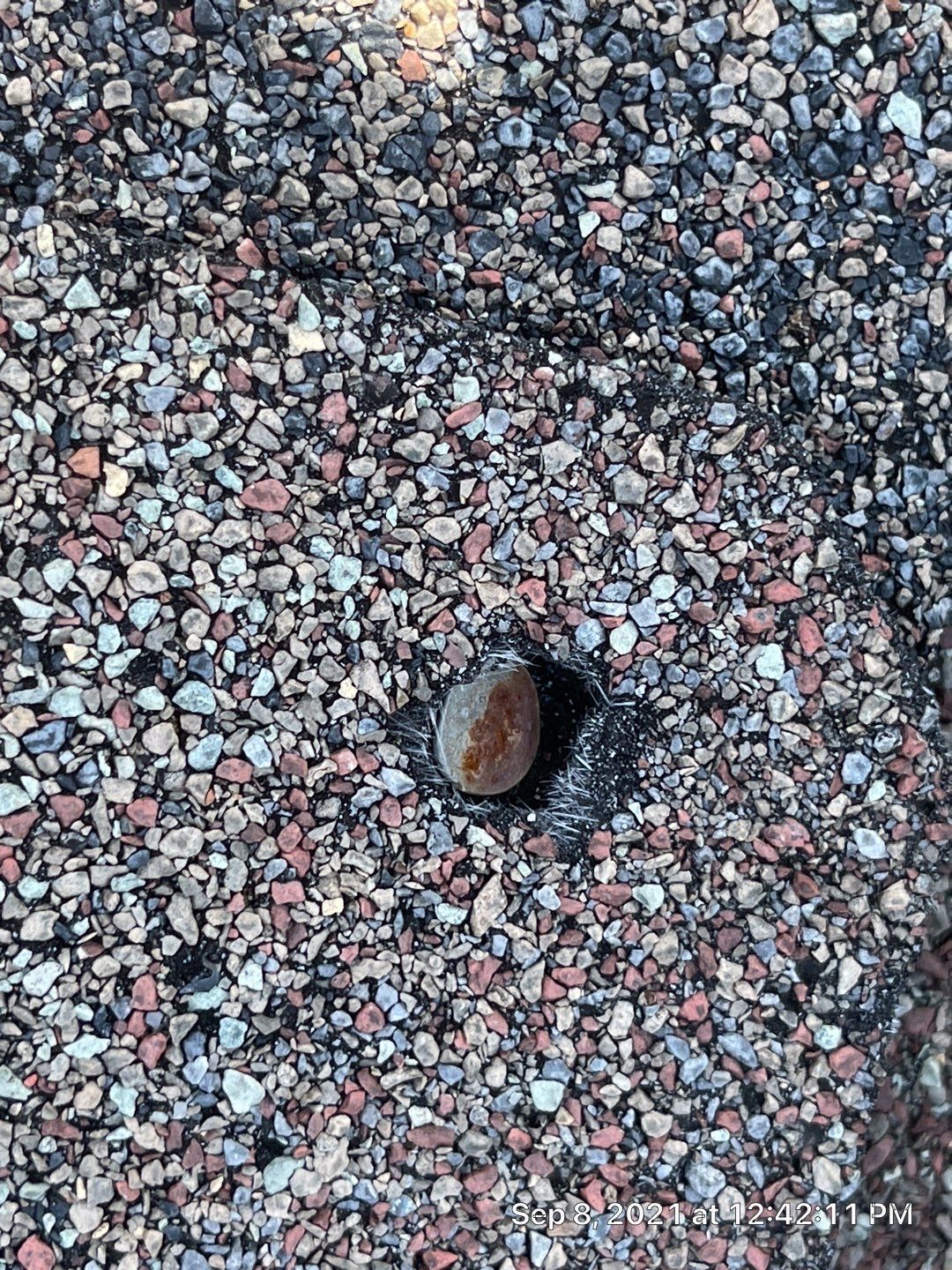 A rock is sitting on top of a pile of gravel.