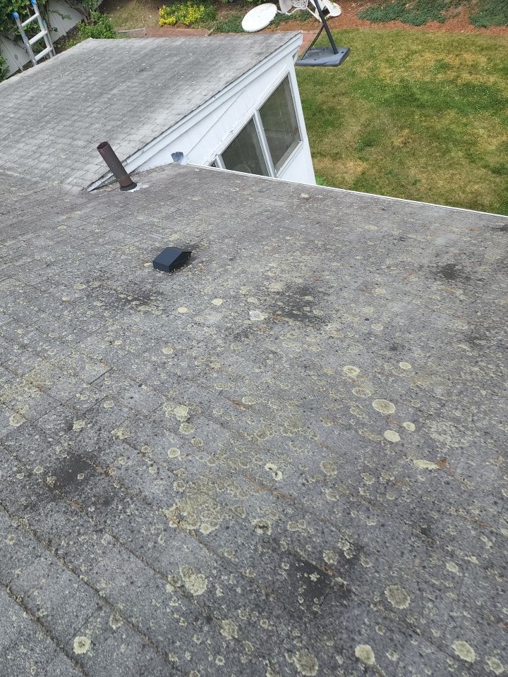 A dirty roof with a satellite dish on top of it.