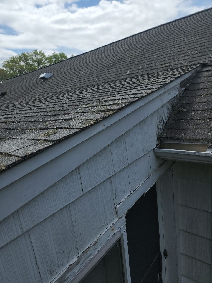 A white house with a roof that is covered in moss.