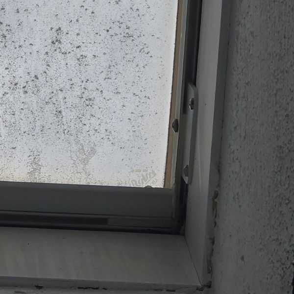 Skylight with leaking seals