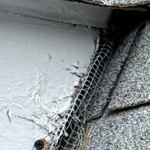 Gable flashed with wire mesh