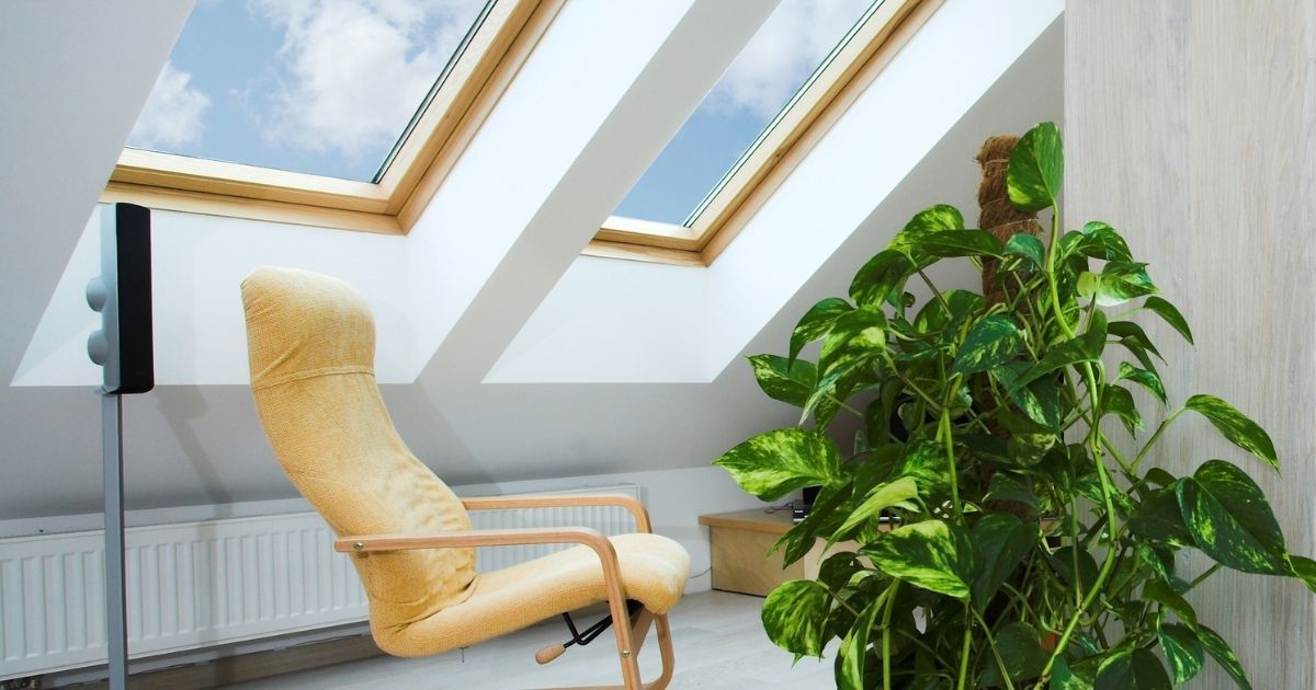 Light coming through the skylight