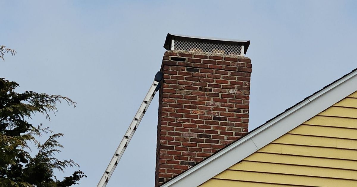 chimney with a cap installed and ladder against the chimney