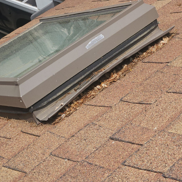 Debris around an existing skylight and aged three-tab shingles before roof replacement.