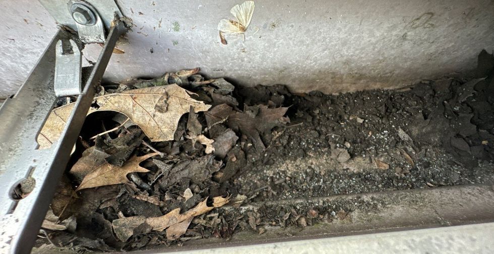 Damaged roof with algaes