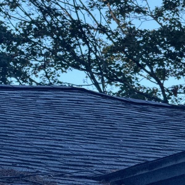 Dark asphalt shingle roof with tree branches against a blue sky.