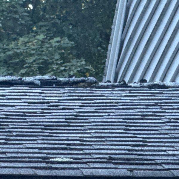Gray shingle roof, with white siding and trees in background.