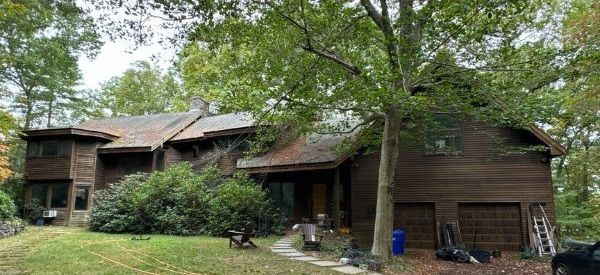 Roof covered in pine needles