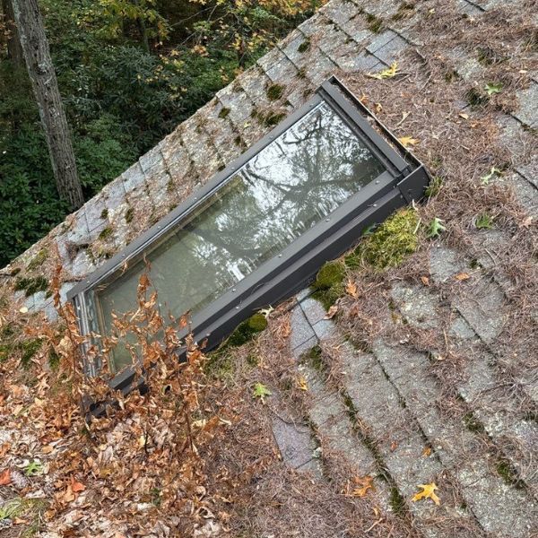 30 year old skylight