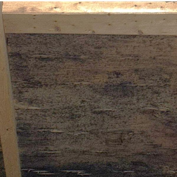 inside of roof sheathing showing mold and rot