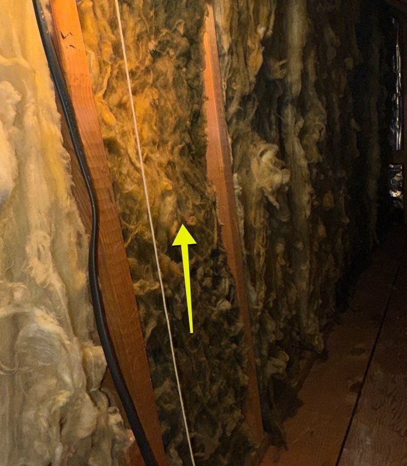 Attic insulation with suspected mold.