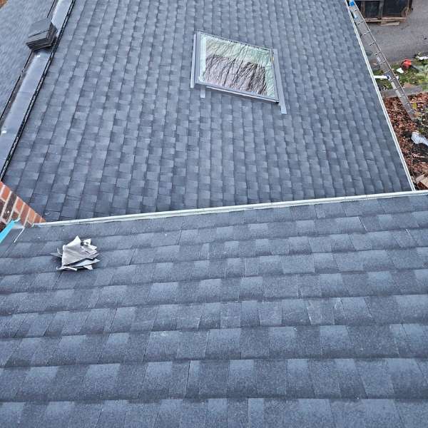 new shingles