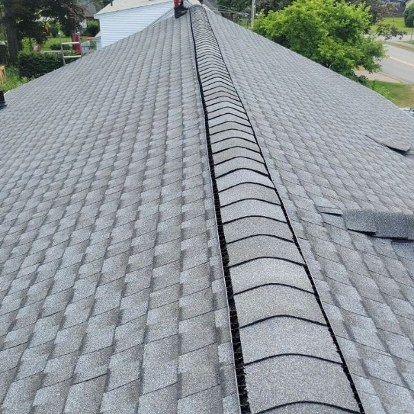 new shingles