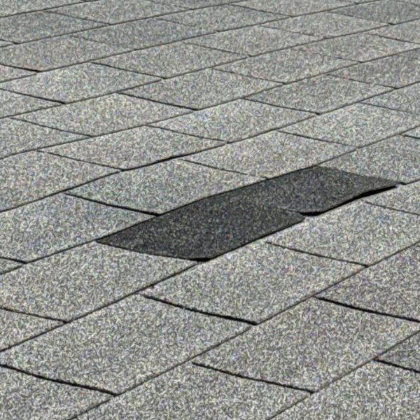 old shingles