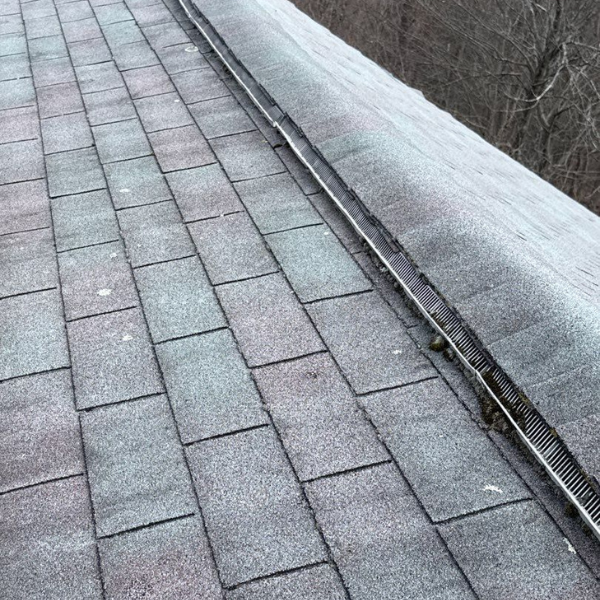 roof and chimney