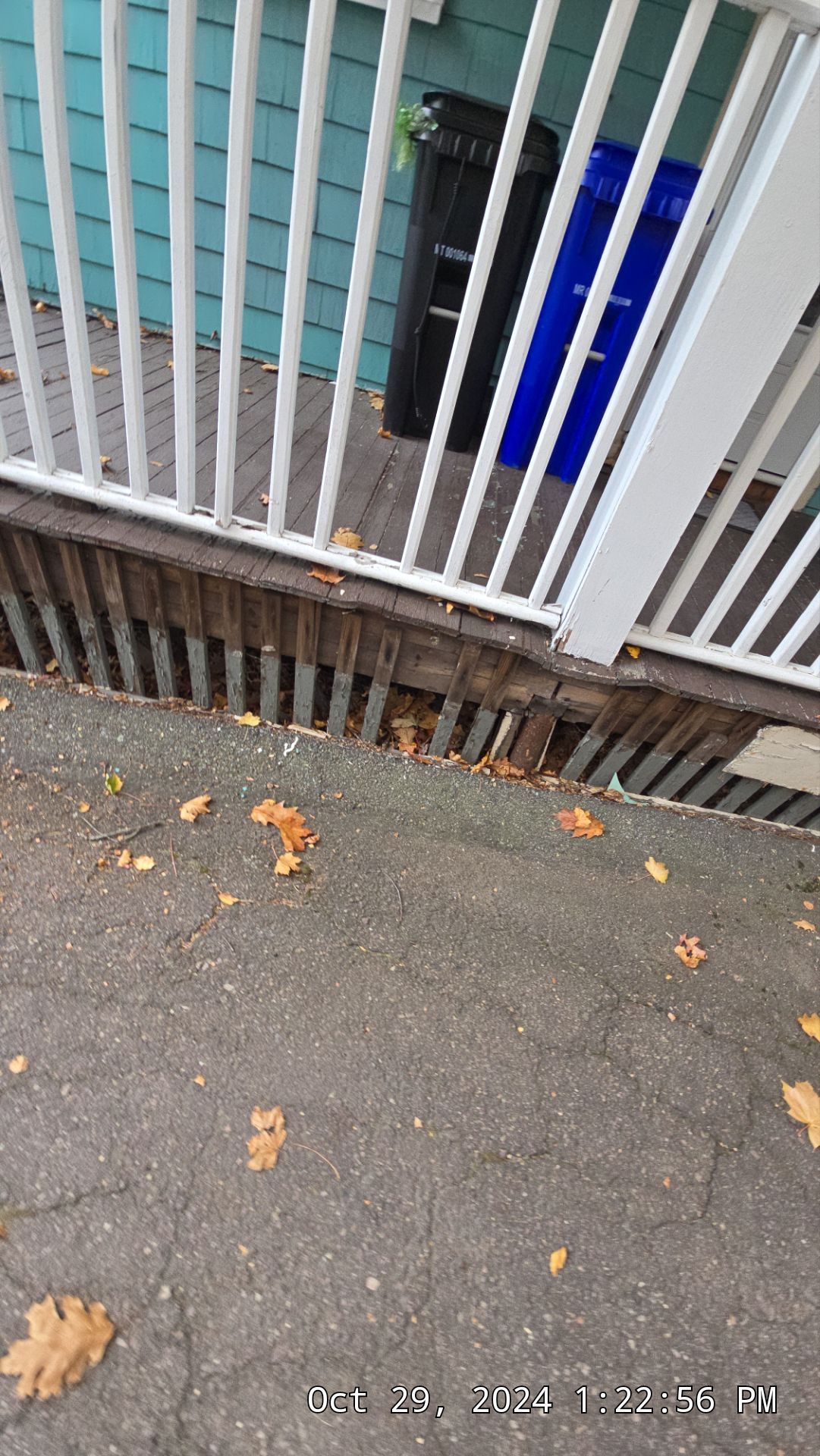 Wooden porch with white railings, looking down onto a gray paved surface with fallen leaves.