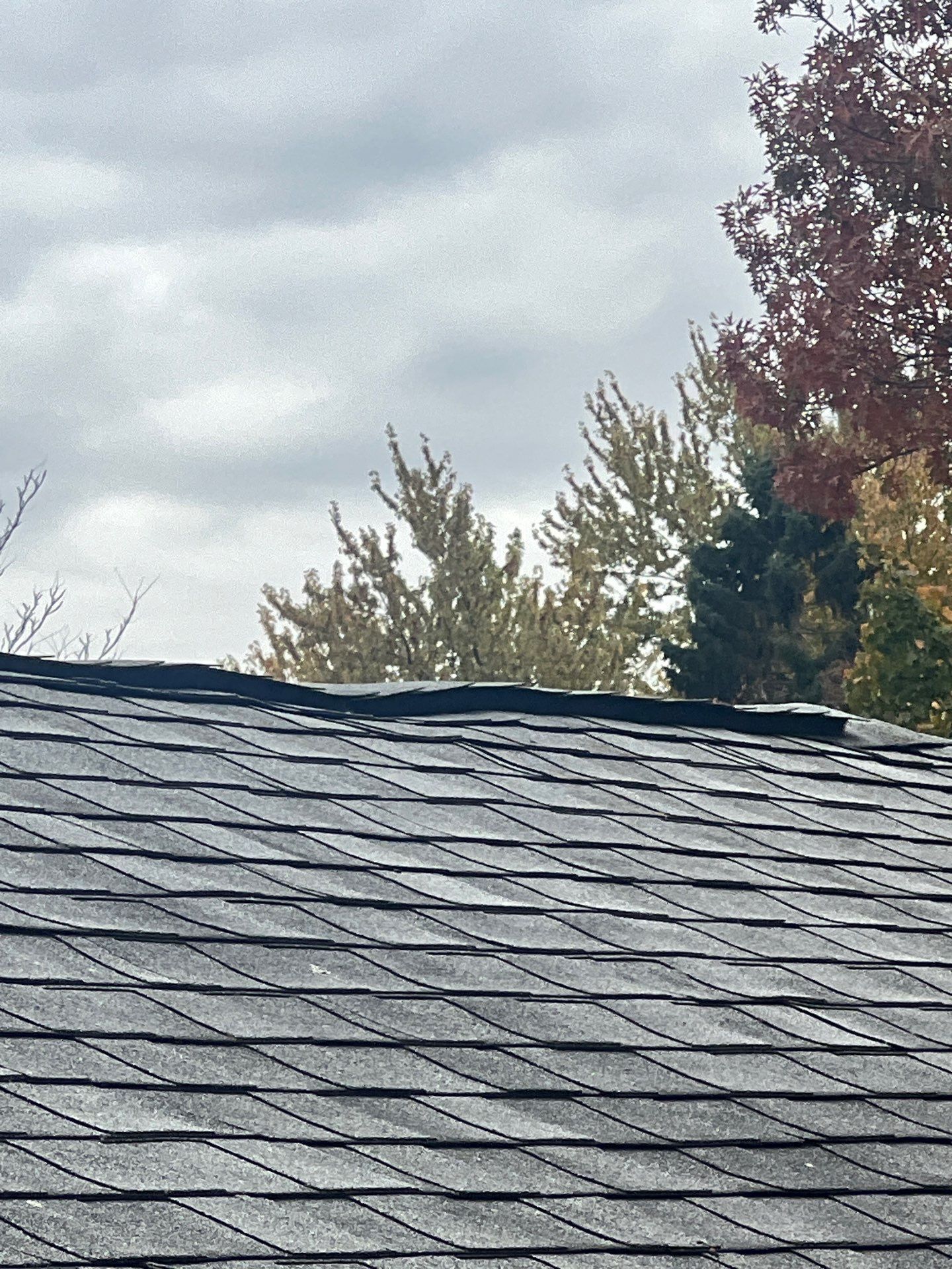Dark gray asphalt shingle roof with some buckling, trees in fall colors in background.