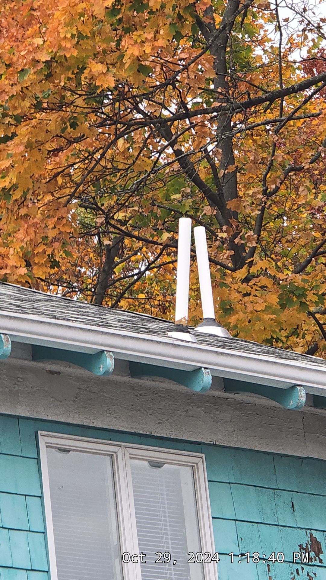 Two white pipes on a gray roof, in front of a tree with orange fall foliage. Below, a teal house with white window.