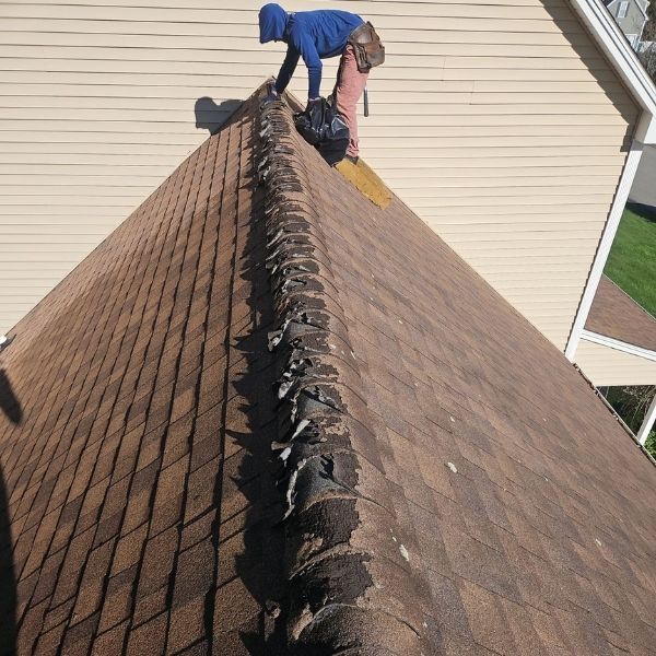 Photo showing badly worn ridge cap shingles