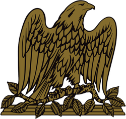 David N. Schultz eagle