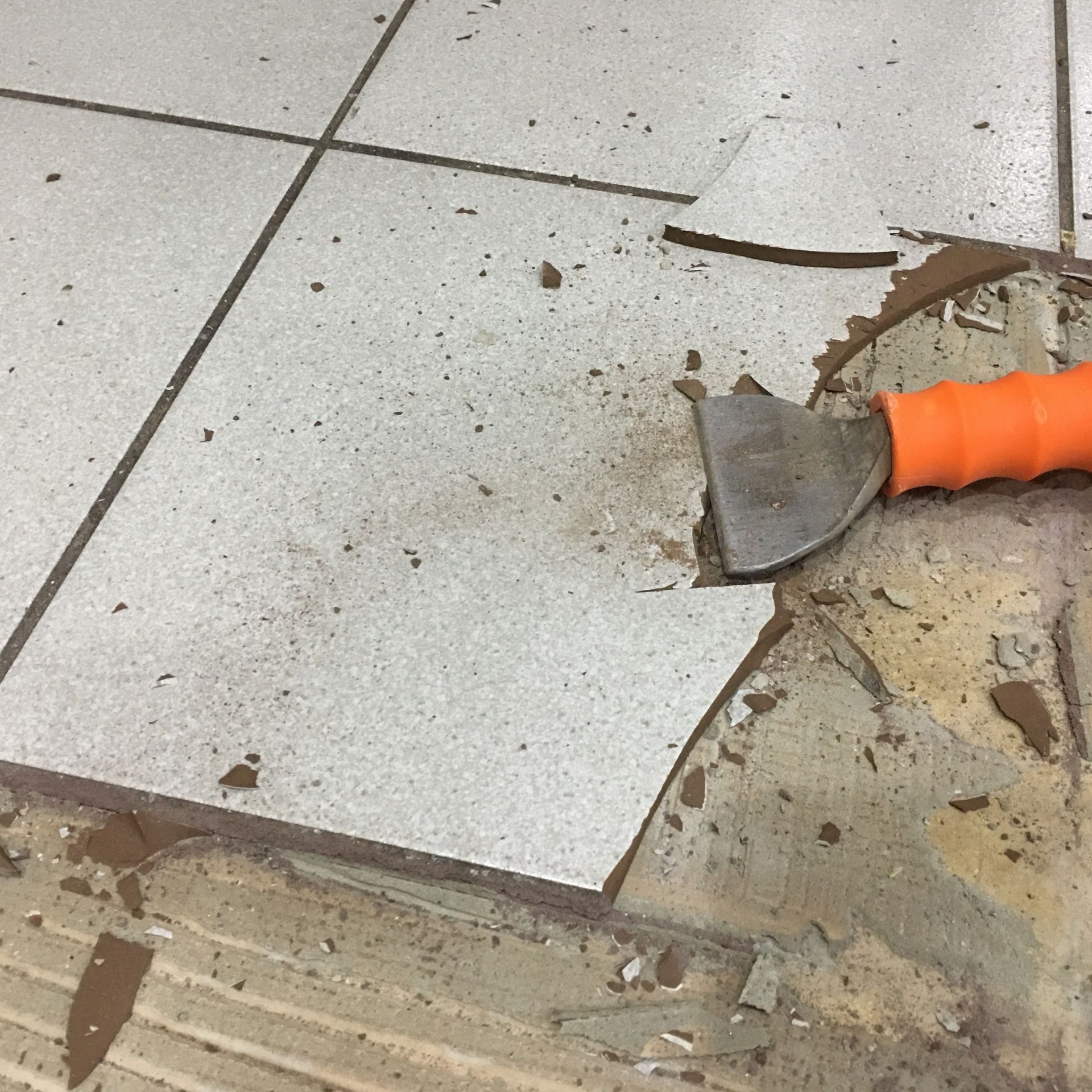 Selective & Interior Demolition