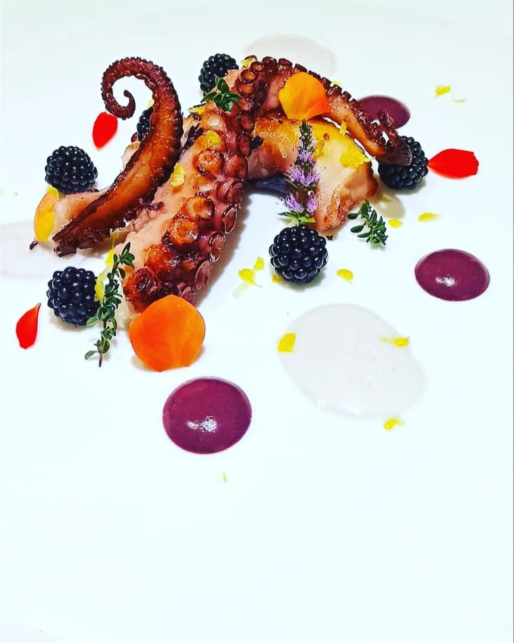 piatto cotto a bassa temperatura 4