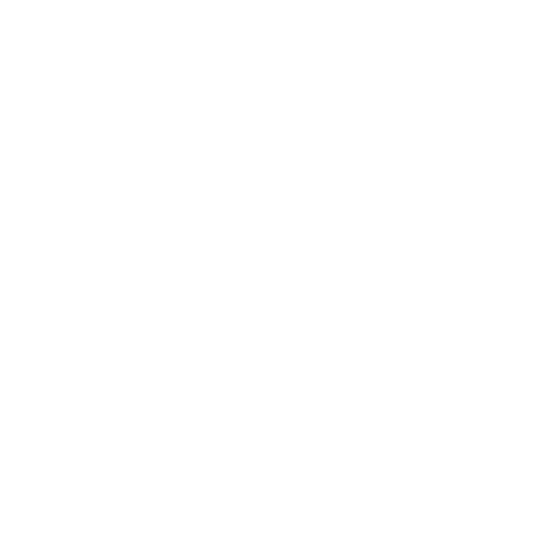 Sky McCole Bartusiak Foundation logo