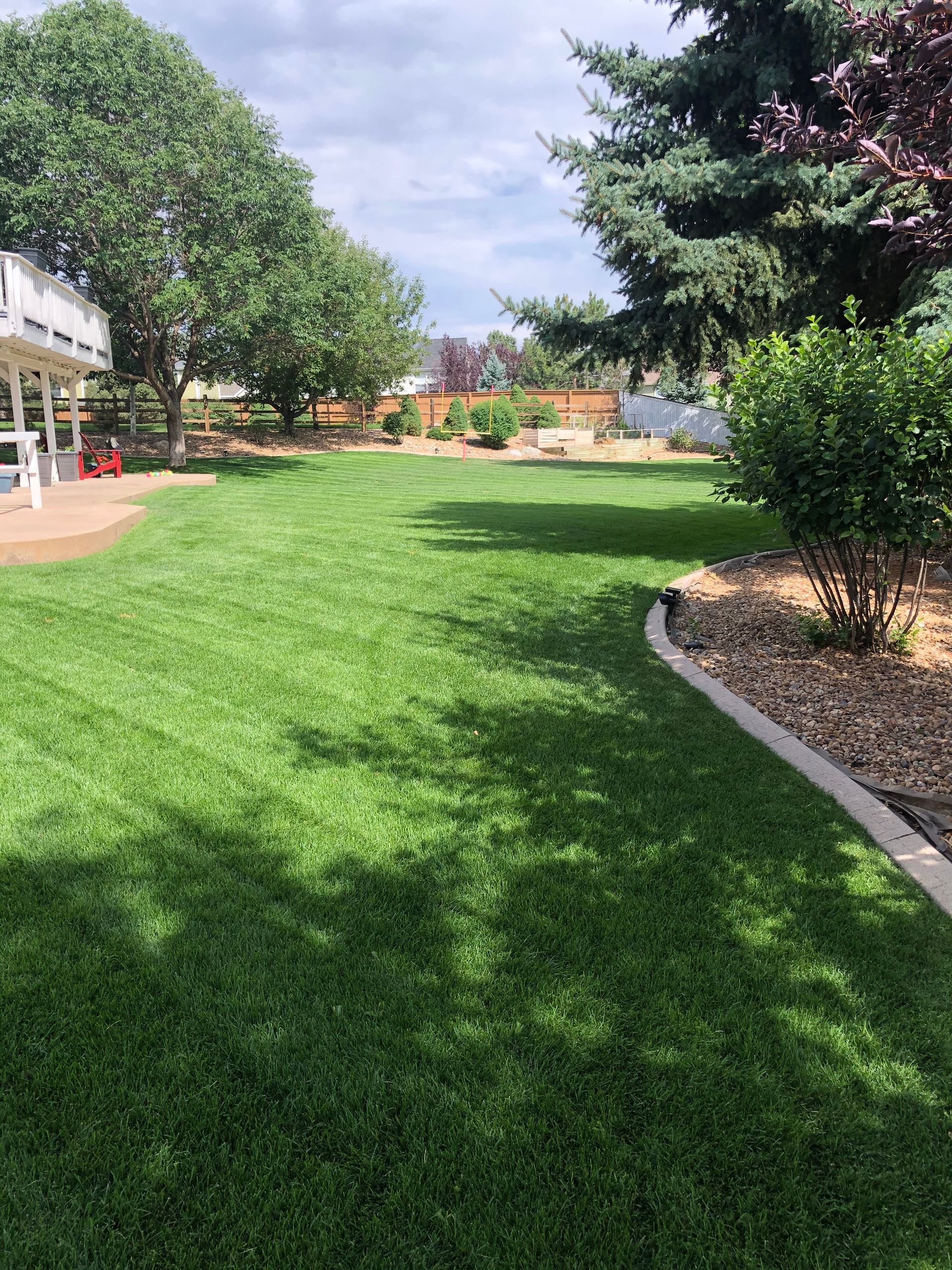 Professional lawn maintenance service in south Denver metro by Halftime Help