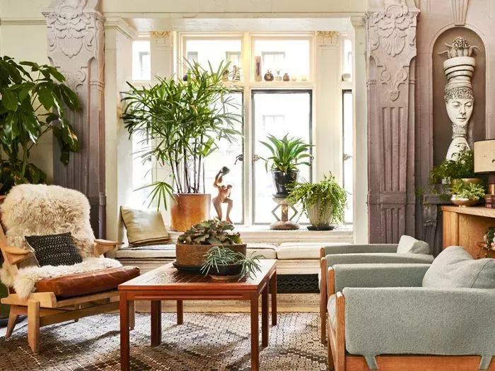 O sufragerie plina cu mobilier si o multime de plante in ghiveci.