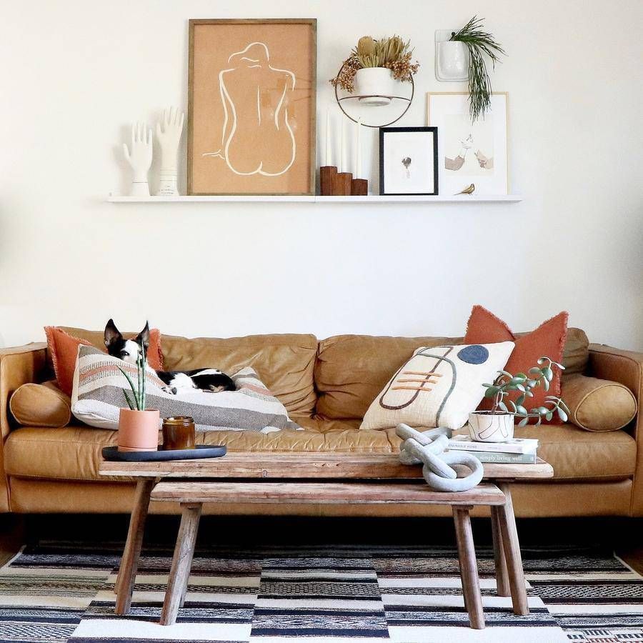 O pisică stă întinsă pe o canapea într-o cameră de zi cu o măsuță de cafea.