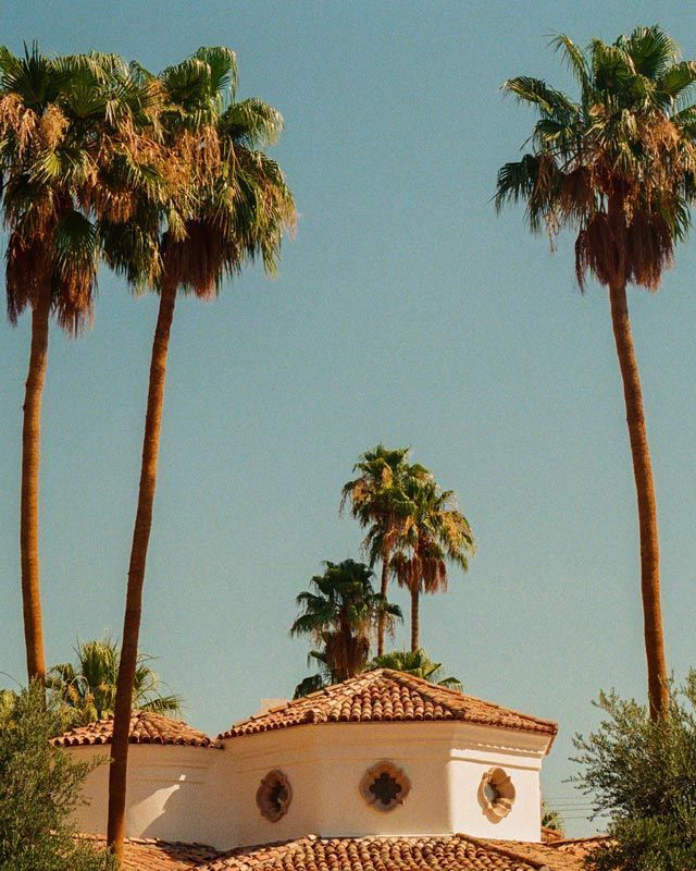 O casă albă cu palmieri în fața ei