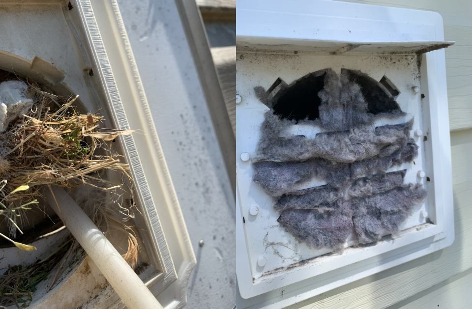 Two dryer vent covers: one with a bird's nest, the other clogged with lint.