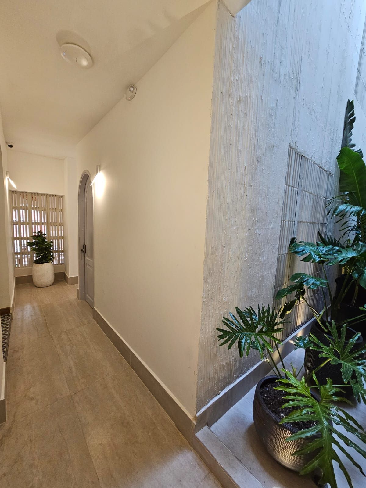 A narrow hallway with light wood floors and white walls. A plant-filled alcove is visible on the right.