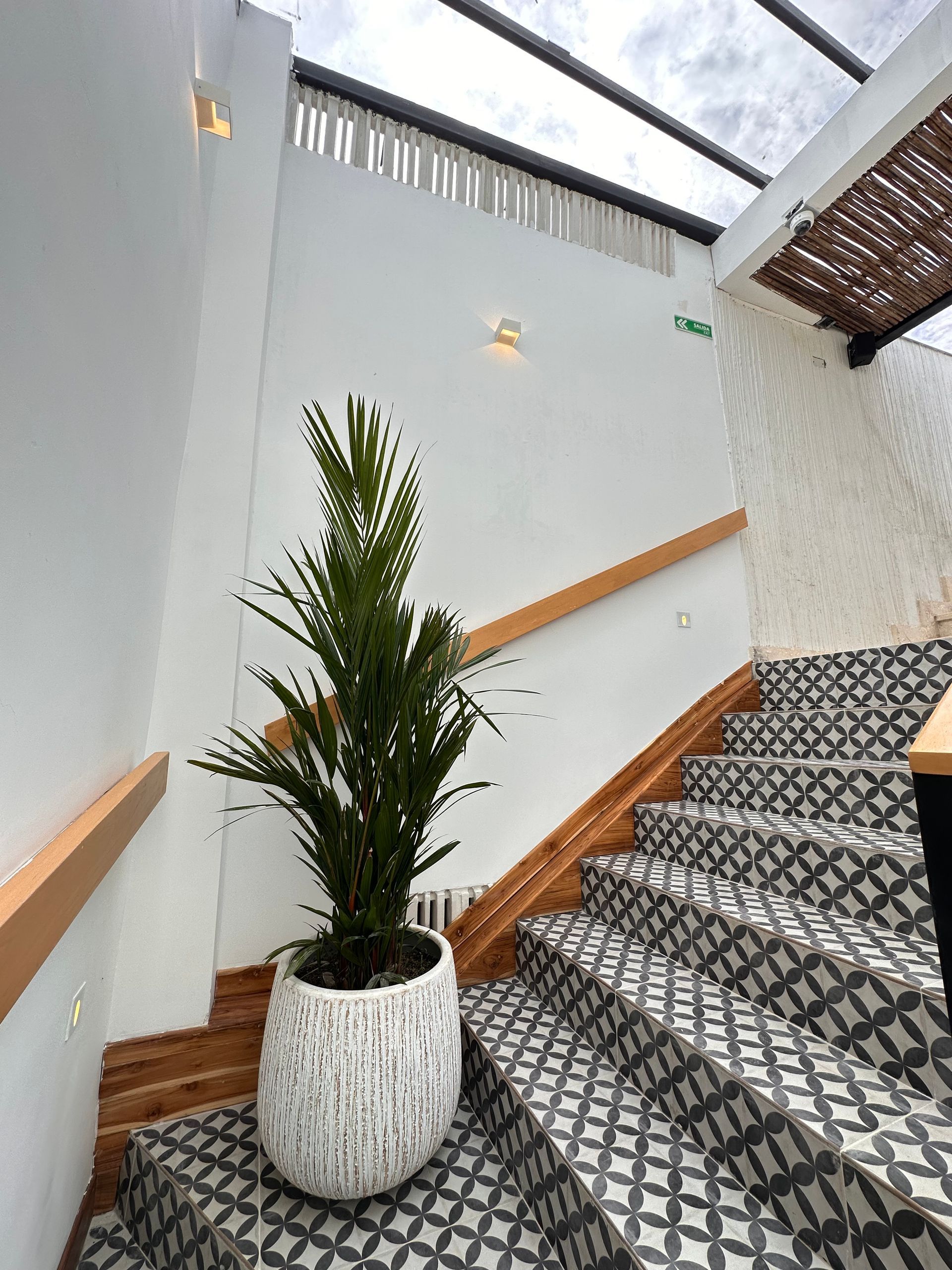 Staircase with patterned tiles and wooden handrail, beside a potted plant. White walls and a partially covered ceiling.