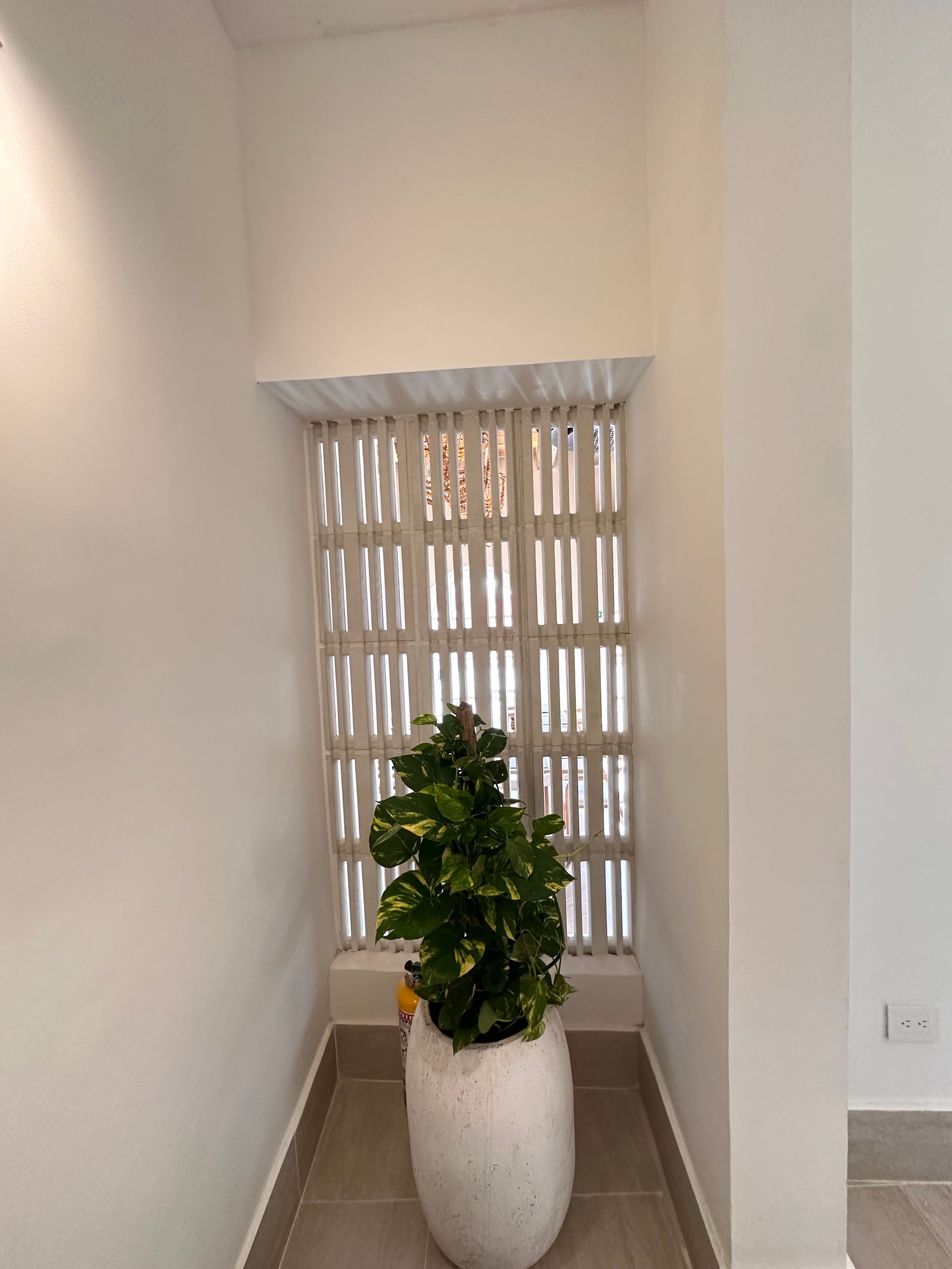 White niche with textured slats and a potted green plant in a white ceramic pot; a neutral setting.