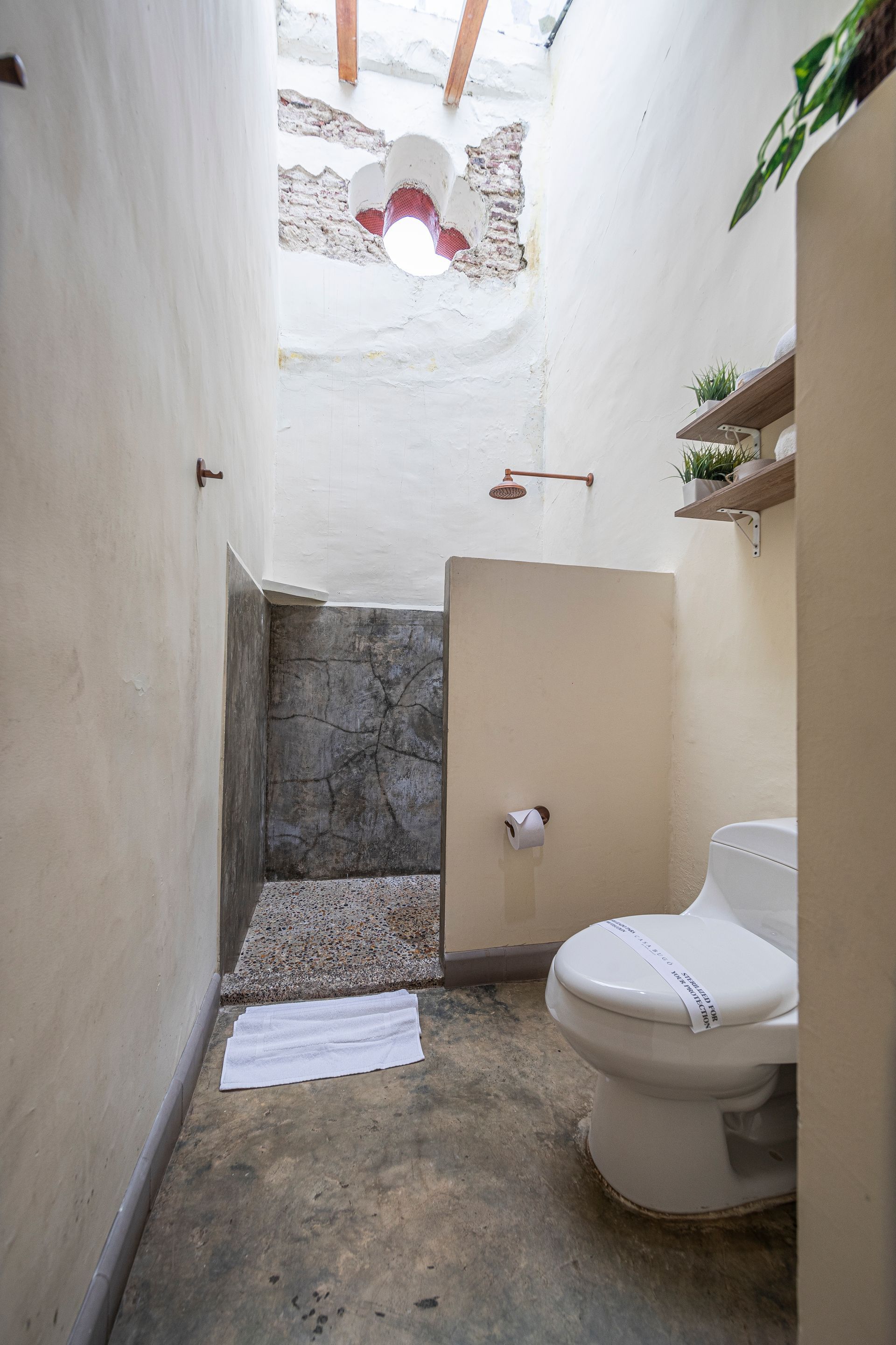 A bathroom with a toilet , shower and ceiling fan.