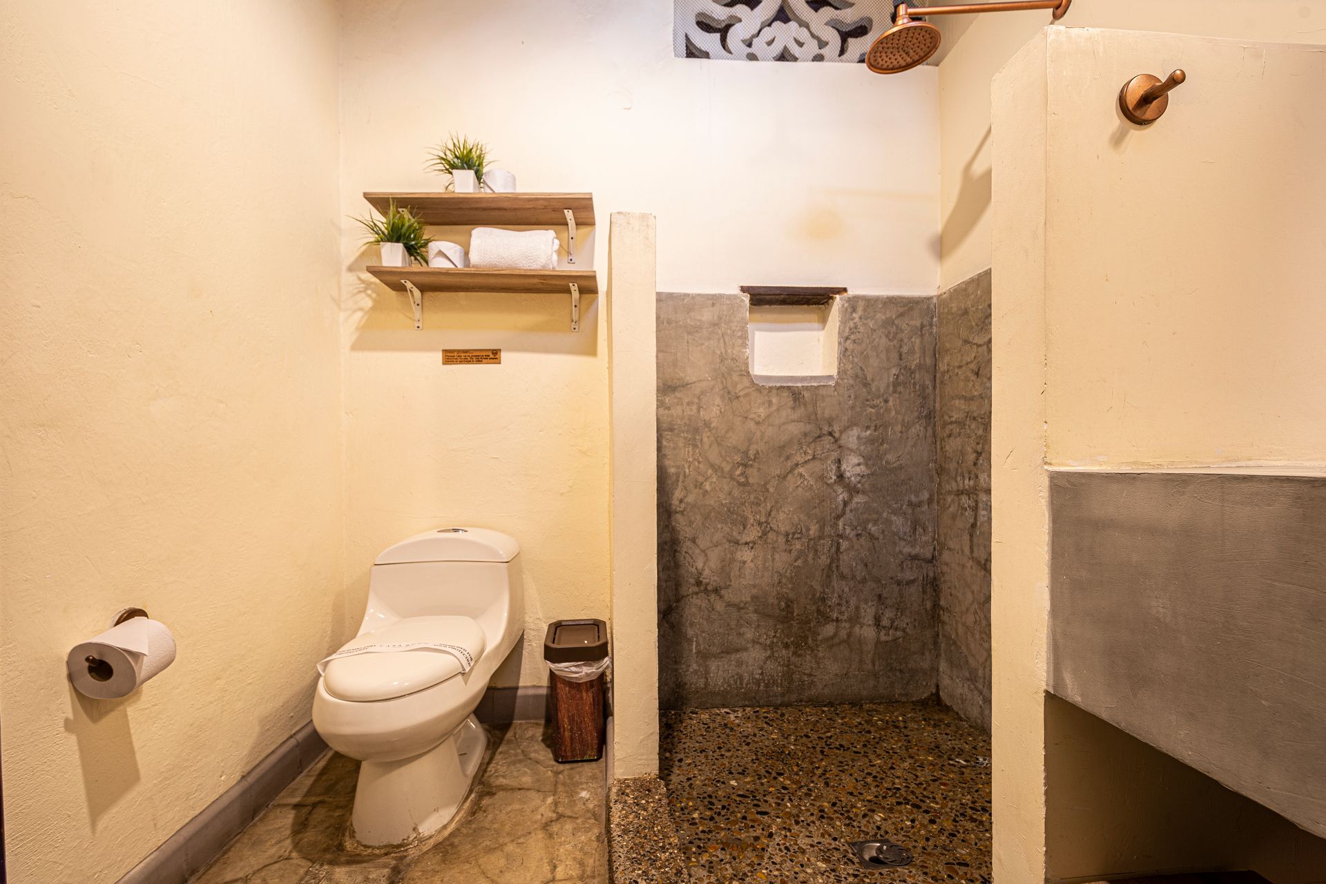 A bathroom with a toilet and a walk in shower.