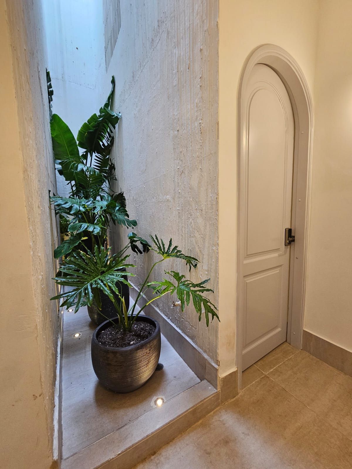 An indoor alcove with plants and a white arched door. The alcove features a planter with large leafy plants against a light wall.