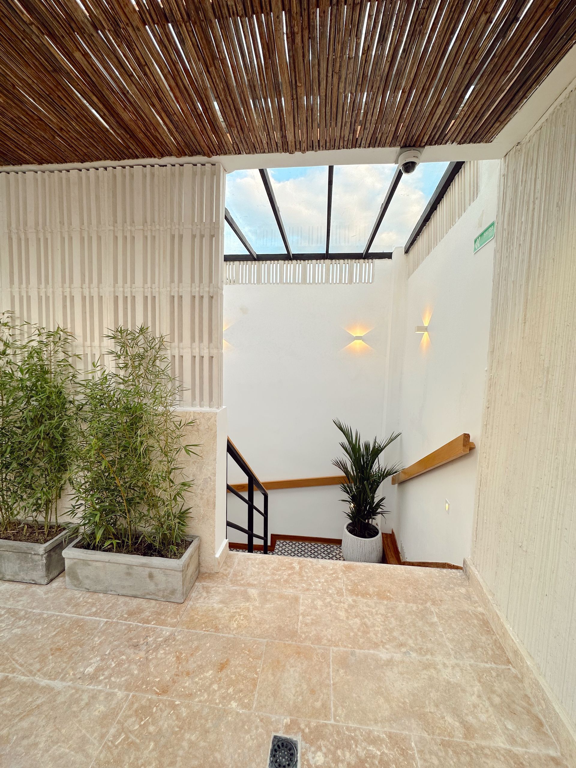 A bright, modern interior space with a staircase leading to a skylight. Plants and textured walls in neutral tones are visible.
