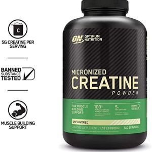Optimum Nutrition Micronized Creatine Powder 600G