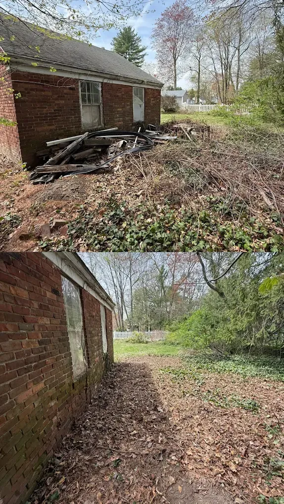Top: Overgrown yard with debris in front of a brick building. Bottom: Yard cleared of debris.