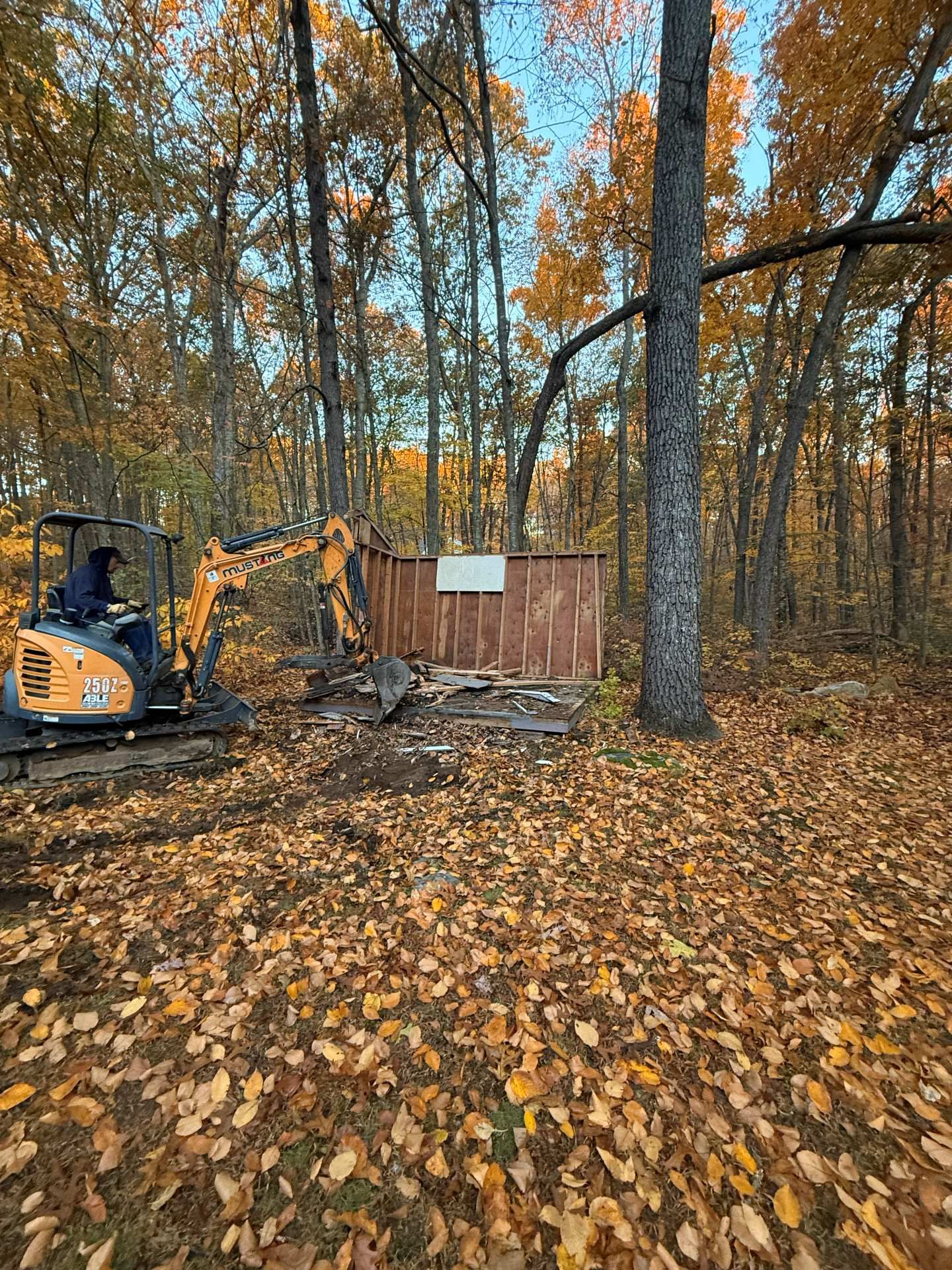 Person operating excavator demolishing a small shed in a wooded area with fall foliage.