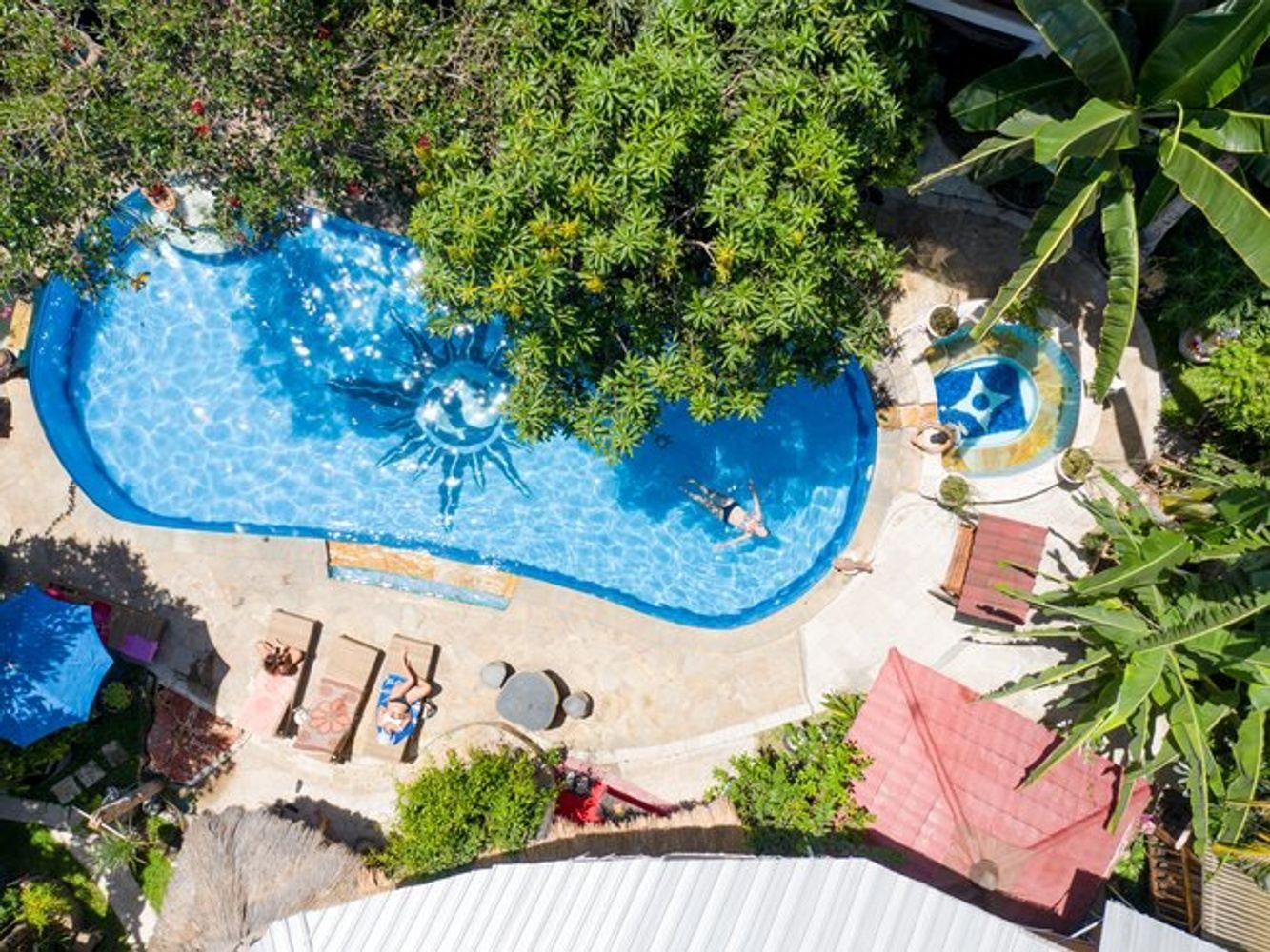 An aerial view of a large swimming pool surrounded by trees.