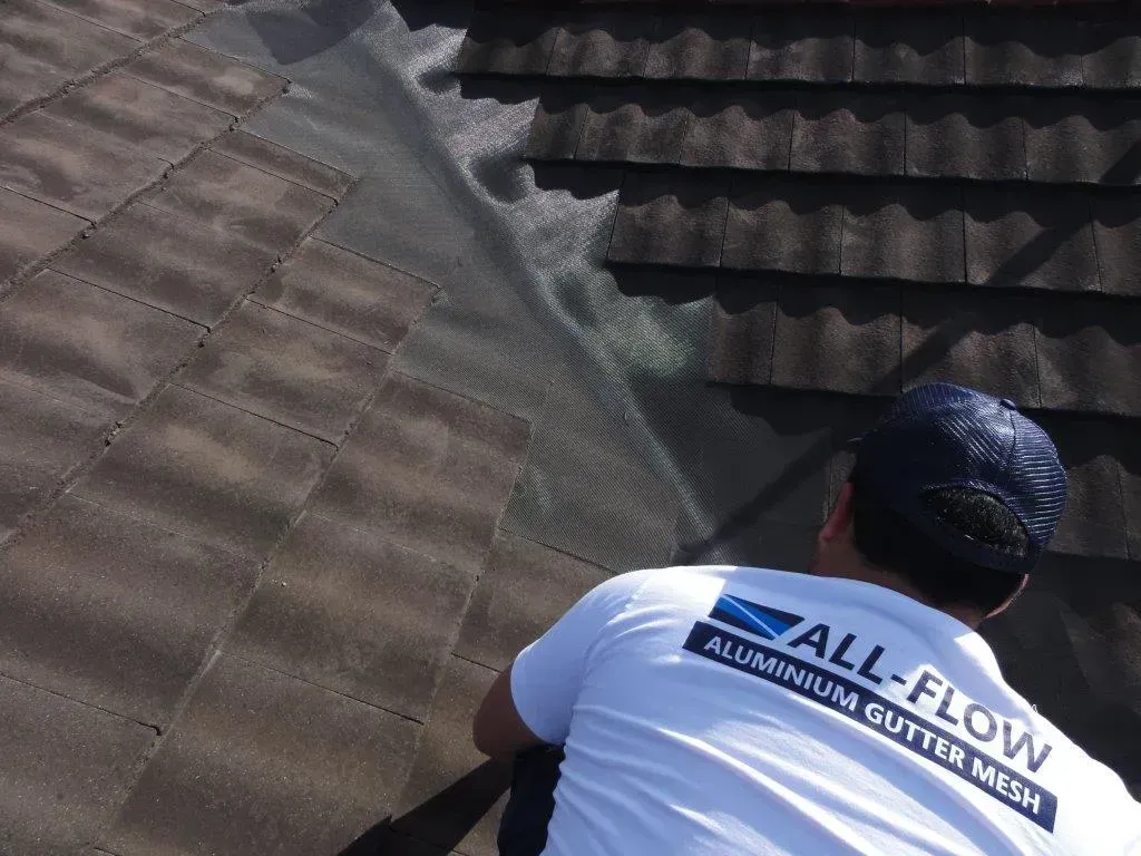 gutter valley with mesh installed